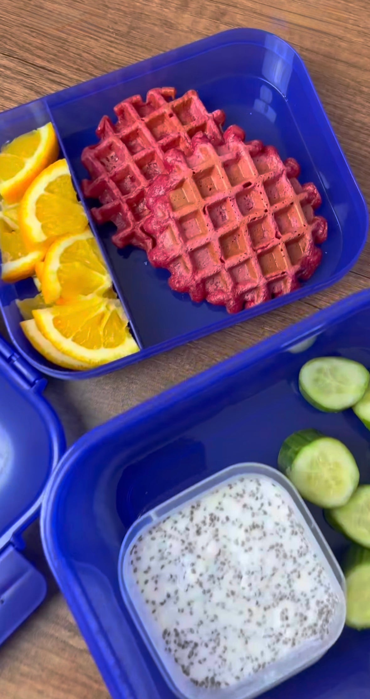 فريسكو لانش بوكس - 1600 مل - كمية محدودة