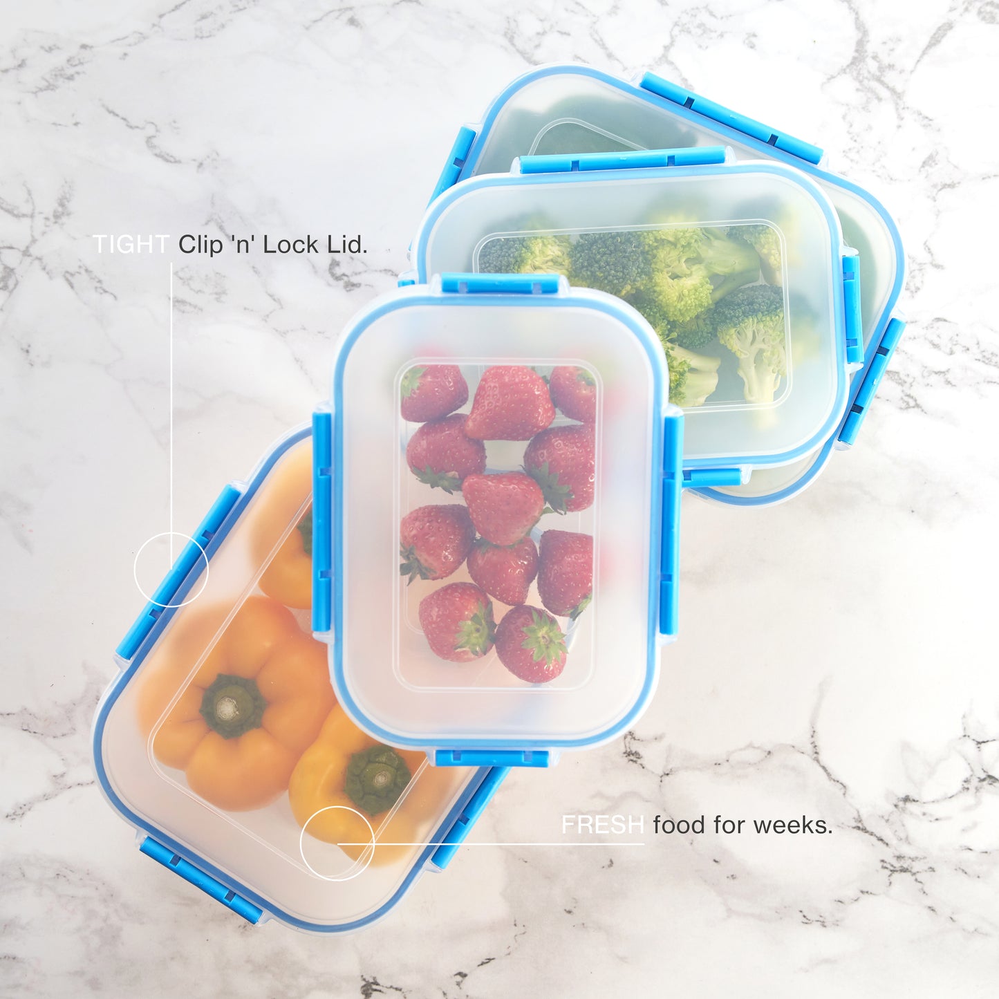 Fresco Food Container 1600ml