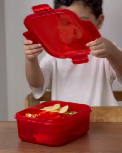 فريسكو لانش بوكس - 1600 مل  - كمية محدودة