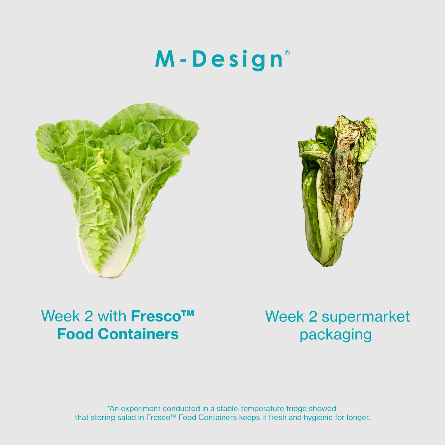 0.6L Fresco™ Food Container