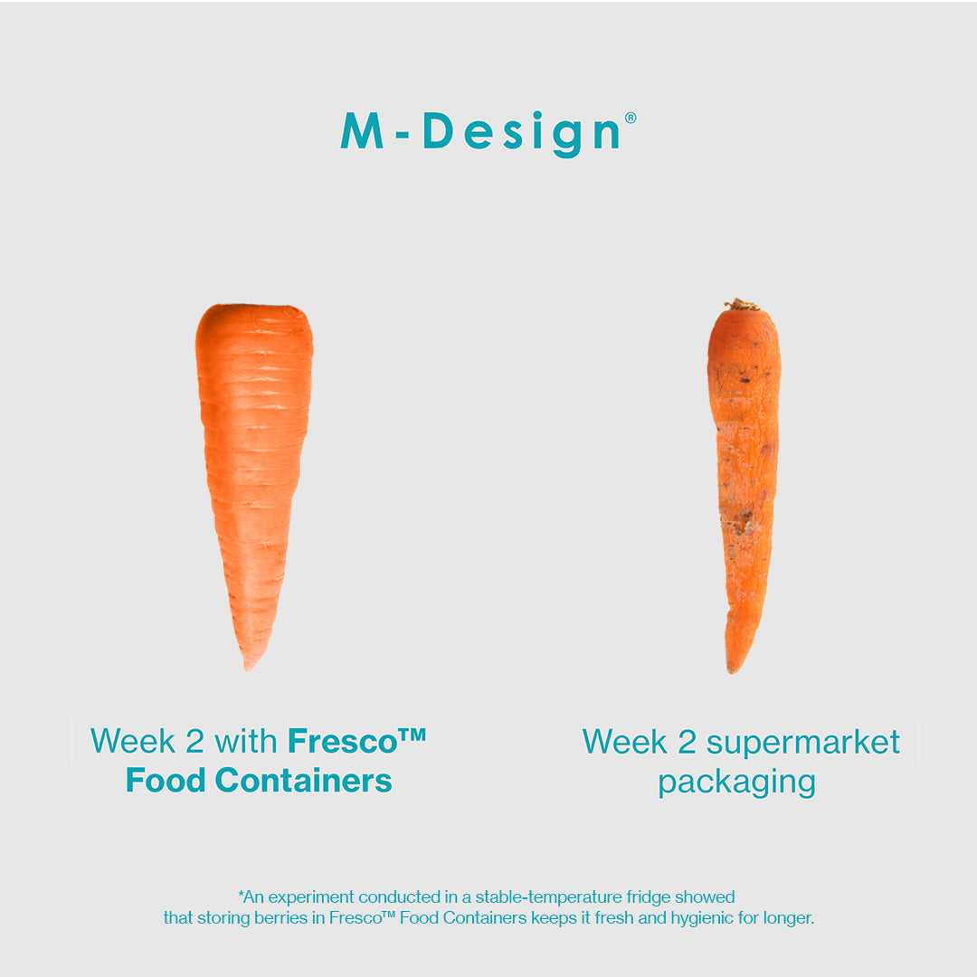 1.6L Fresco™ Food Container