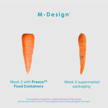 1.6L Fresco™ Food Container