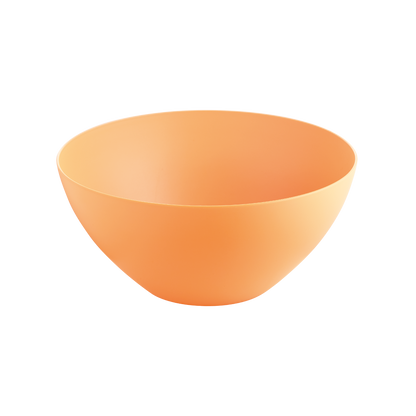 Lifestyle Salad Bowl 26cm